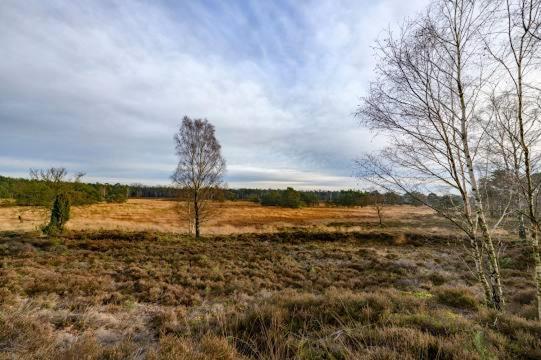 Vakantiebungalow De Schaapskooi Epe Bagian luar foto